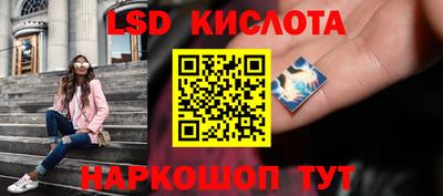 тгк Шебекино
