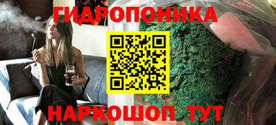 стафф Шахты