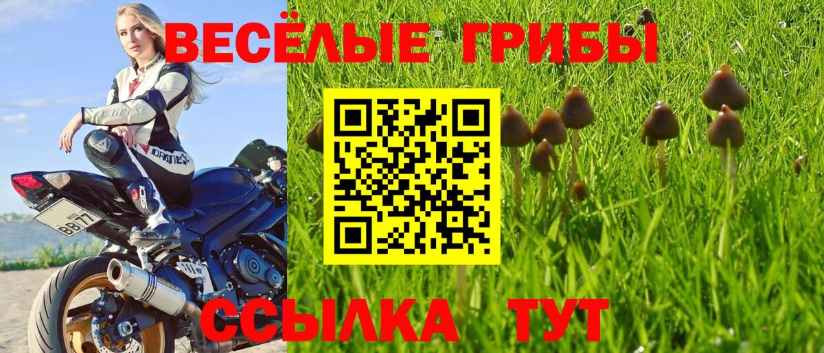 Псилоцибиновые грибы мухоморы Великий Новгород